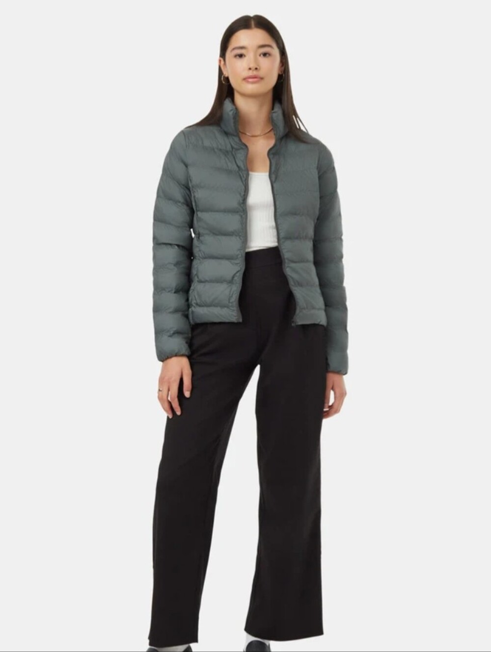 Tentree Cloud Shell Packable Puffer